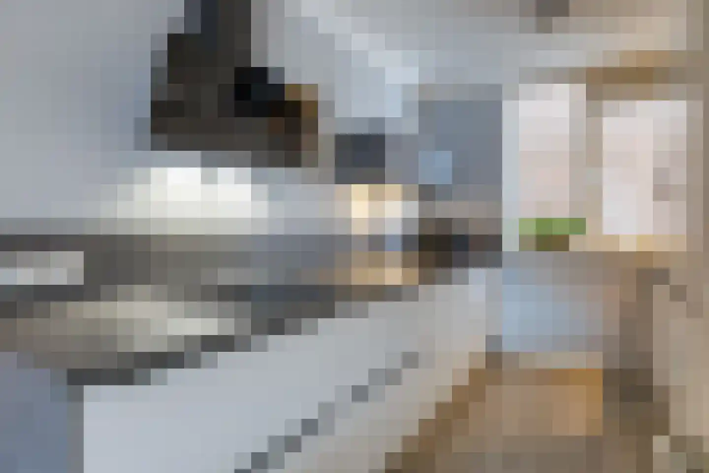 Rozengaarde 19 Rijssen thumbnail 5