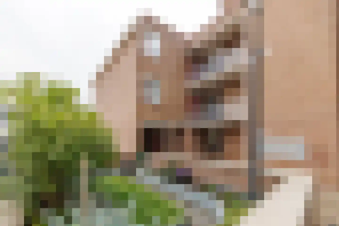 Rozengaarde 19 Rijssen thumbnail 7