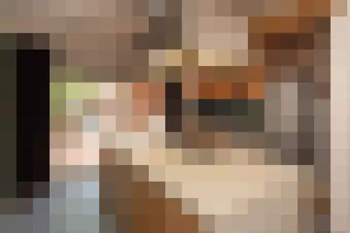 Rozengaarde 8 Rijssen thumbnail 18