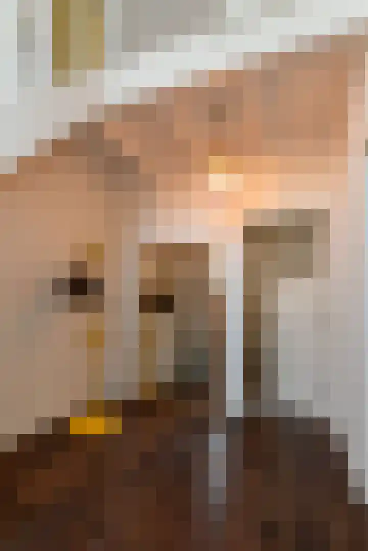 Rozengaarde 8 Rijssen thumbnail 22