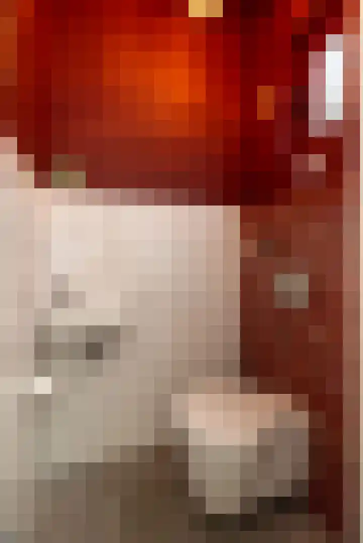 Rozengaarde 8 Rijssen thumbnail 25