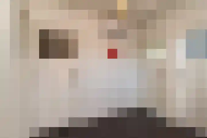 Rozengaarde 8 Rijssen thumbnail 26