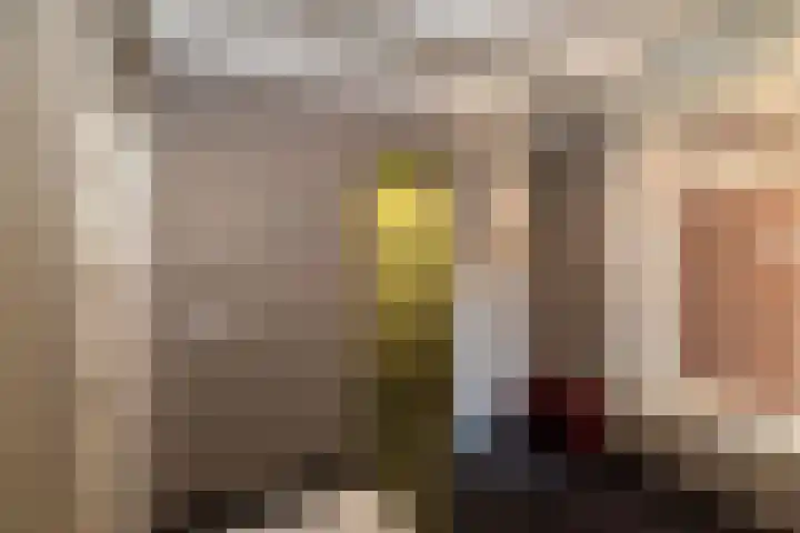 Rozengaarde 8 Rijssen thumbnail 34
