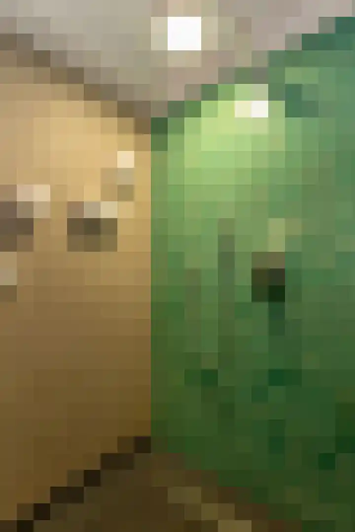 Rozengaarde 8 Rijssen thumbnail 36