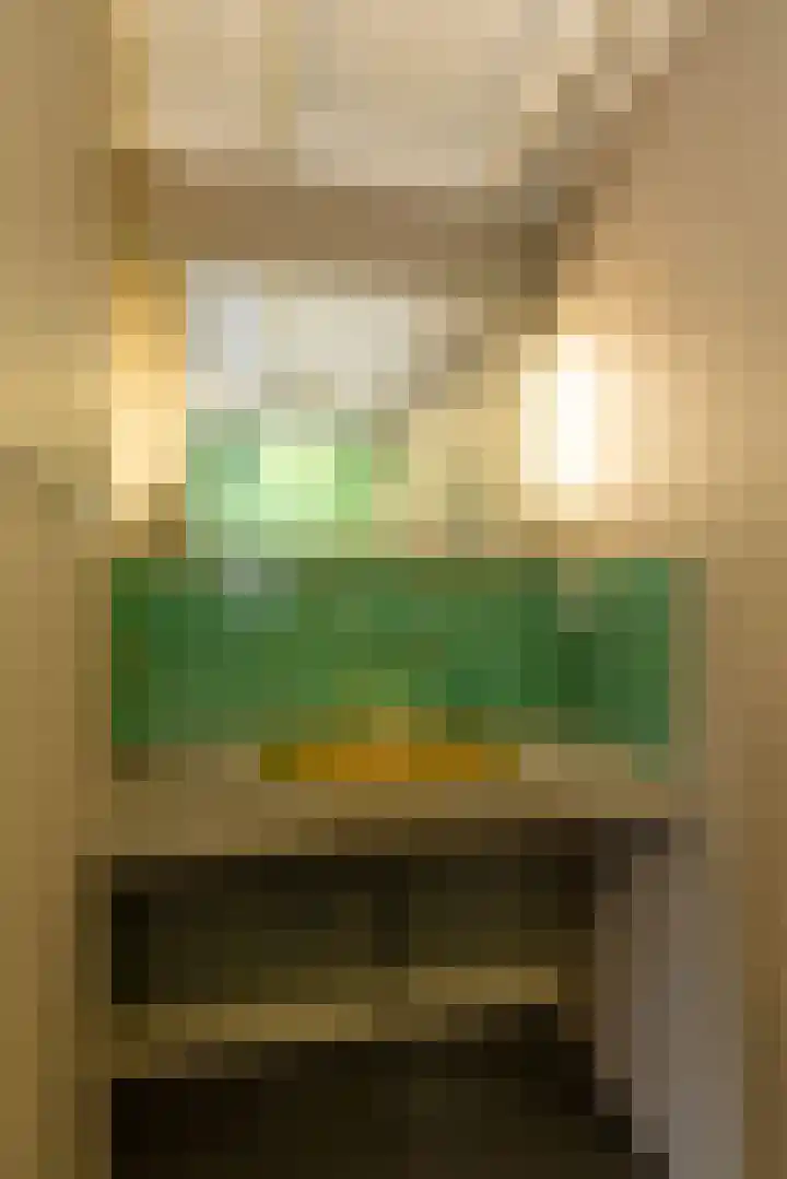 Rozengaarde 8 Rijssen thumbnail 37