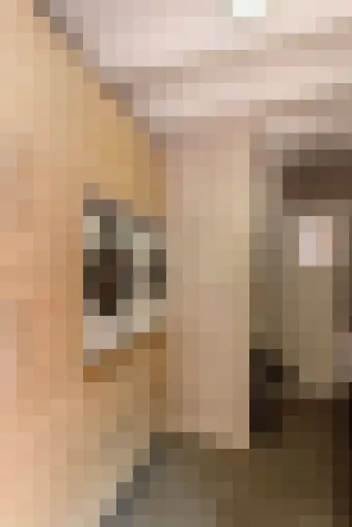 Rozengaarde 8 Rijssen thumbnail 42
