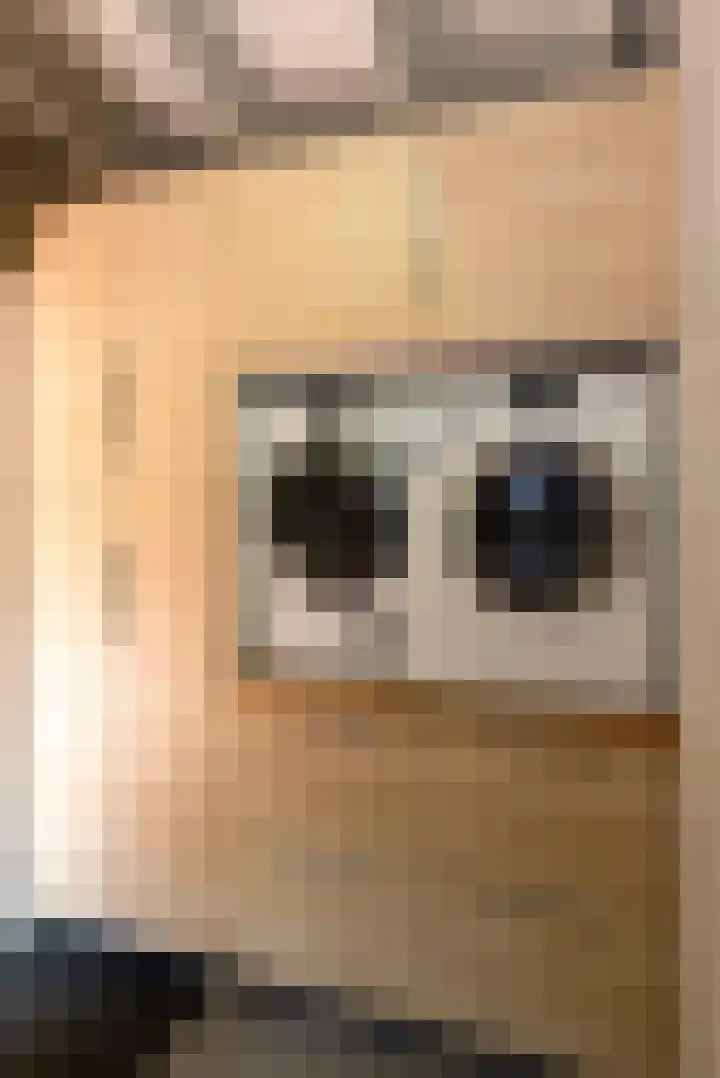 Rozengaarde 8 Rijssen thumbnail 43