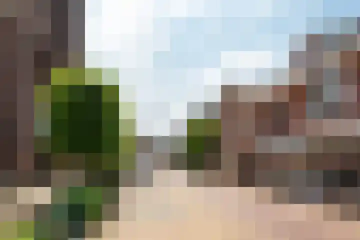 Rozengaarde 8 Rijssen thumbnail 5