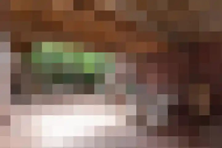 Rozengaarde 8 Rijssen thumbnail 50