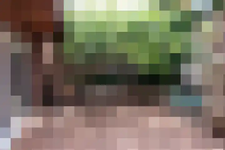 Rozengaarde 8 Rijssen thumbnail 51