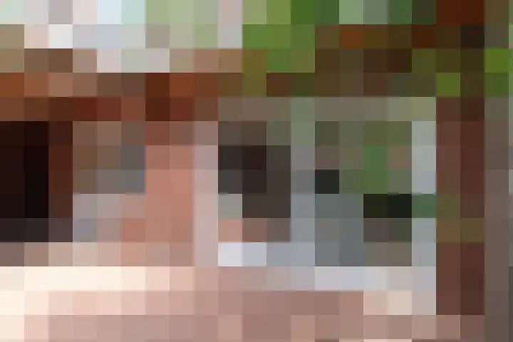 Rozengaarde 8 Rijssen thumbnail 53