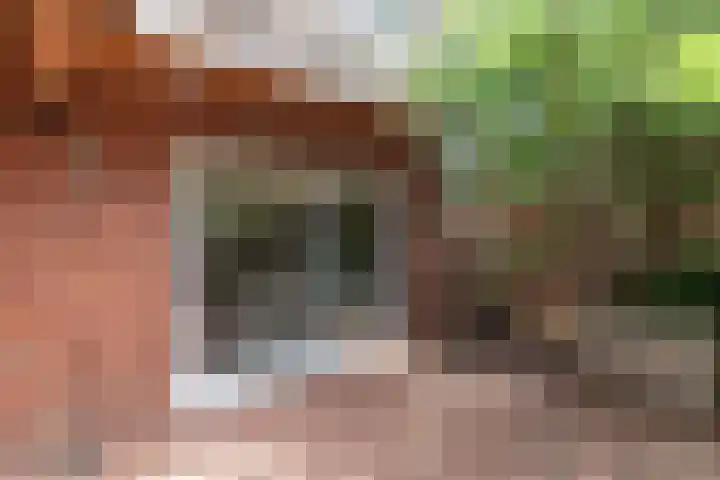 Rozengaarde 8 Rijssen thumbnail 54