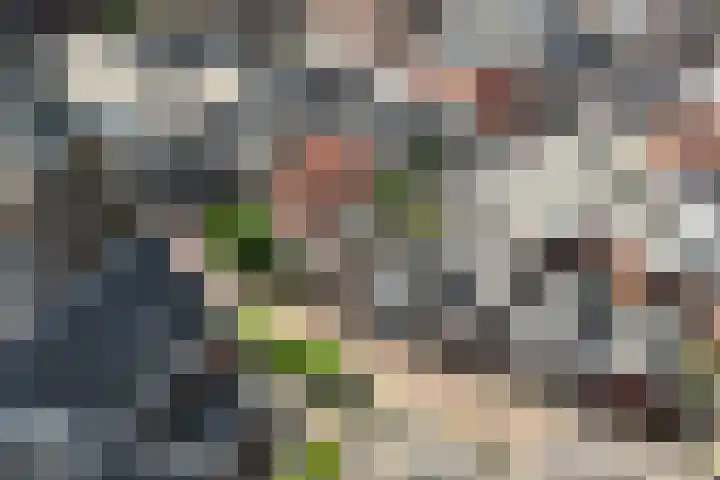 Rozengaarde 8 Rijssen thumbnail 58
