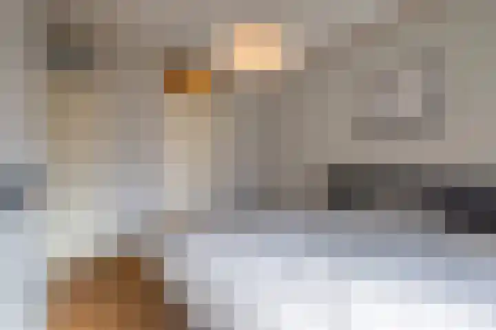 Rozengaarde 87 Rijssen thumbnail 26