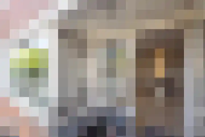 Rozengaarde 87 Rijssen thumbnail 30