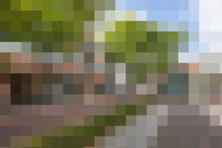 Rozengaarde 87 Rijssen thumbnail 7