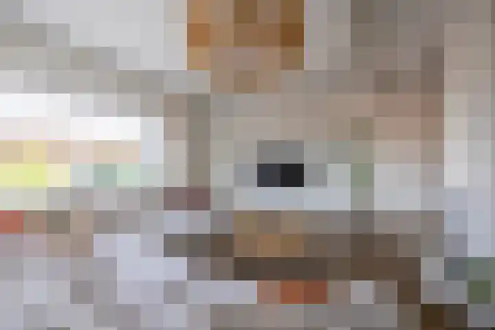 Rozengaarde 95 Rijssen thumbnail 34