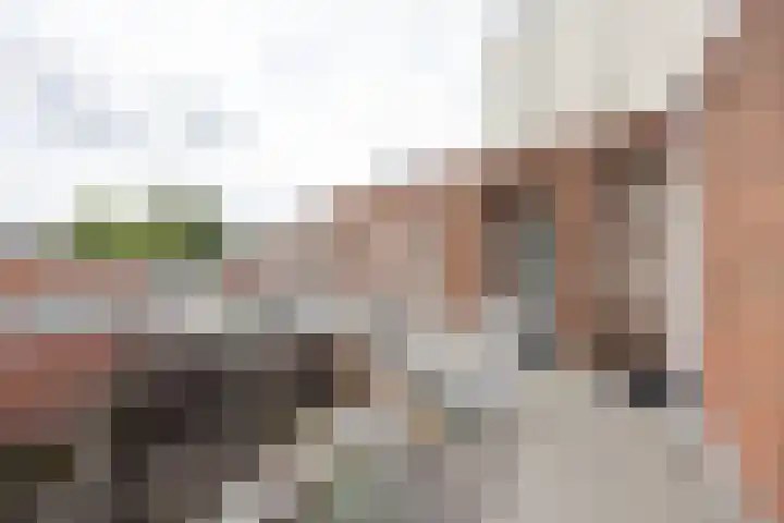 Rozengaarde 95 Rijssen thumbnail 8