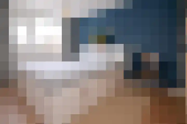Rozengaarderweg 56 Deventer thumbnail 16