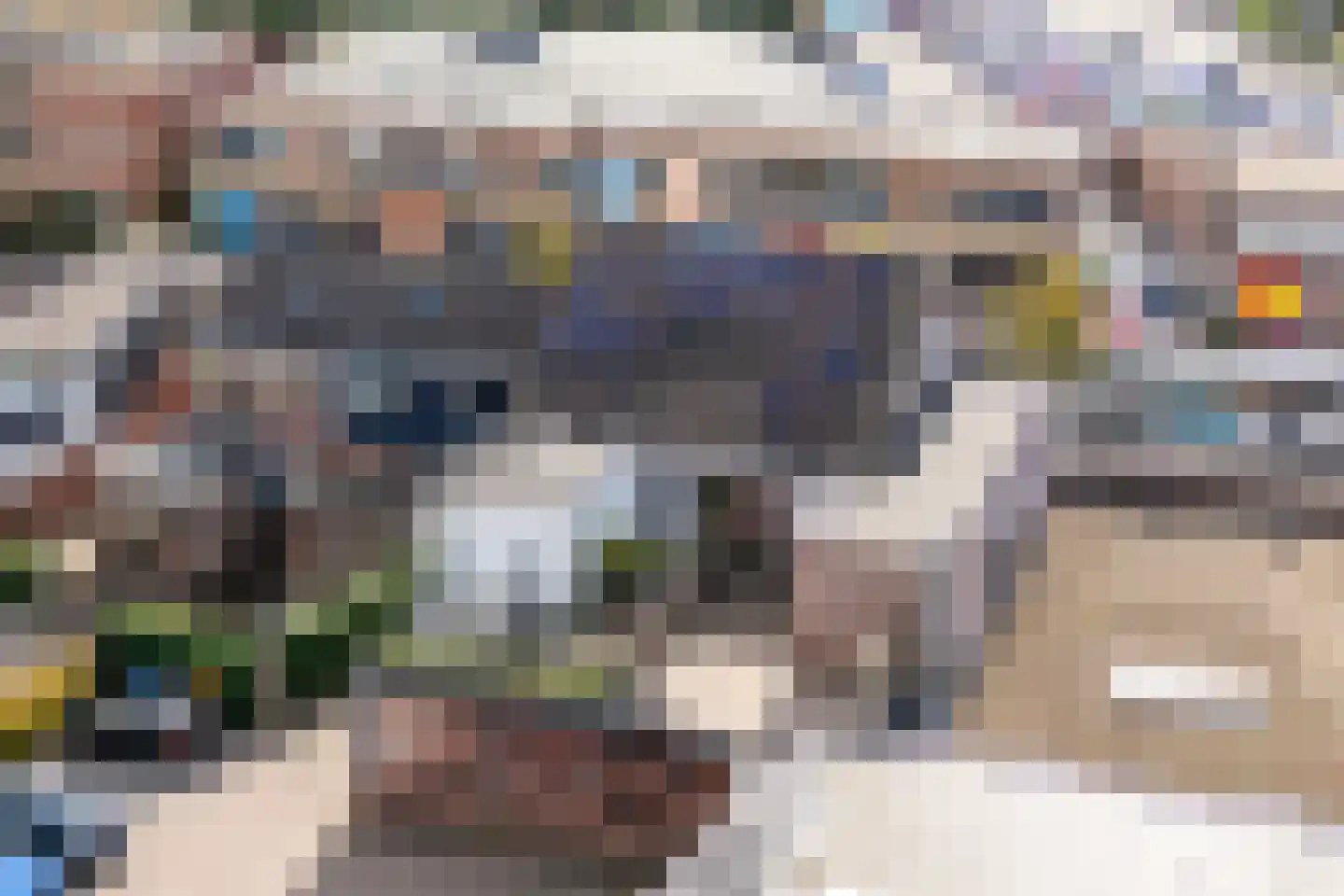 Rozengaardseweg 25 B Doetinchem thumbnail 41