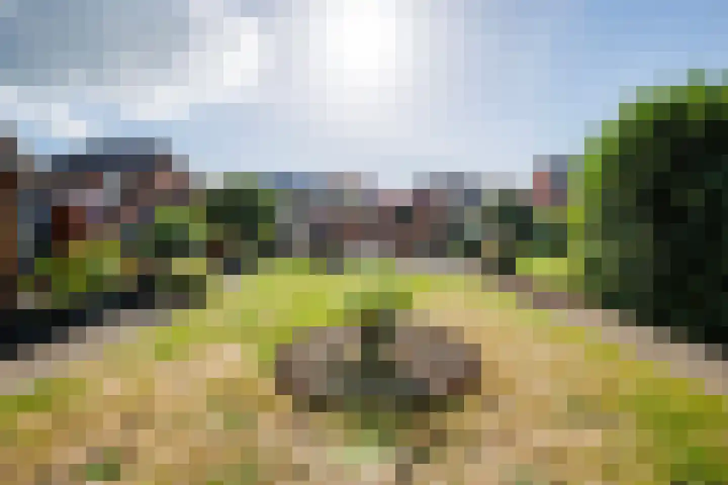 Rozengaardseweg 35 Doetinchem thumbnail 20
