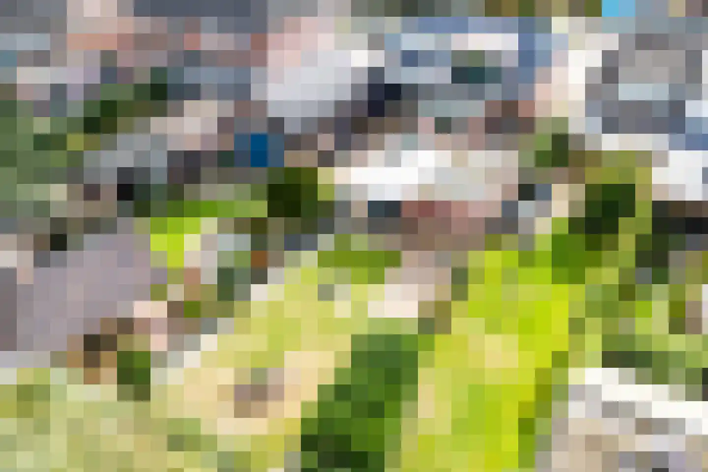 Rozengaardseweg 35 Doetinchem thumbnail 35