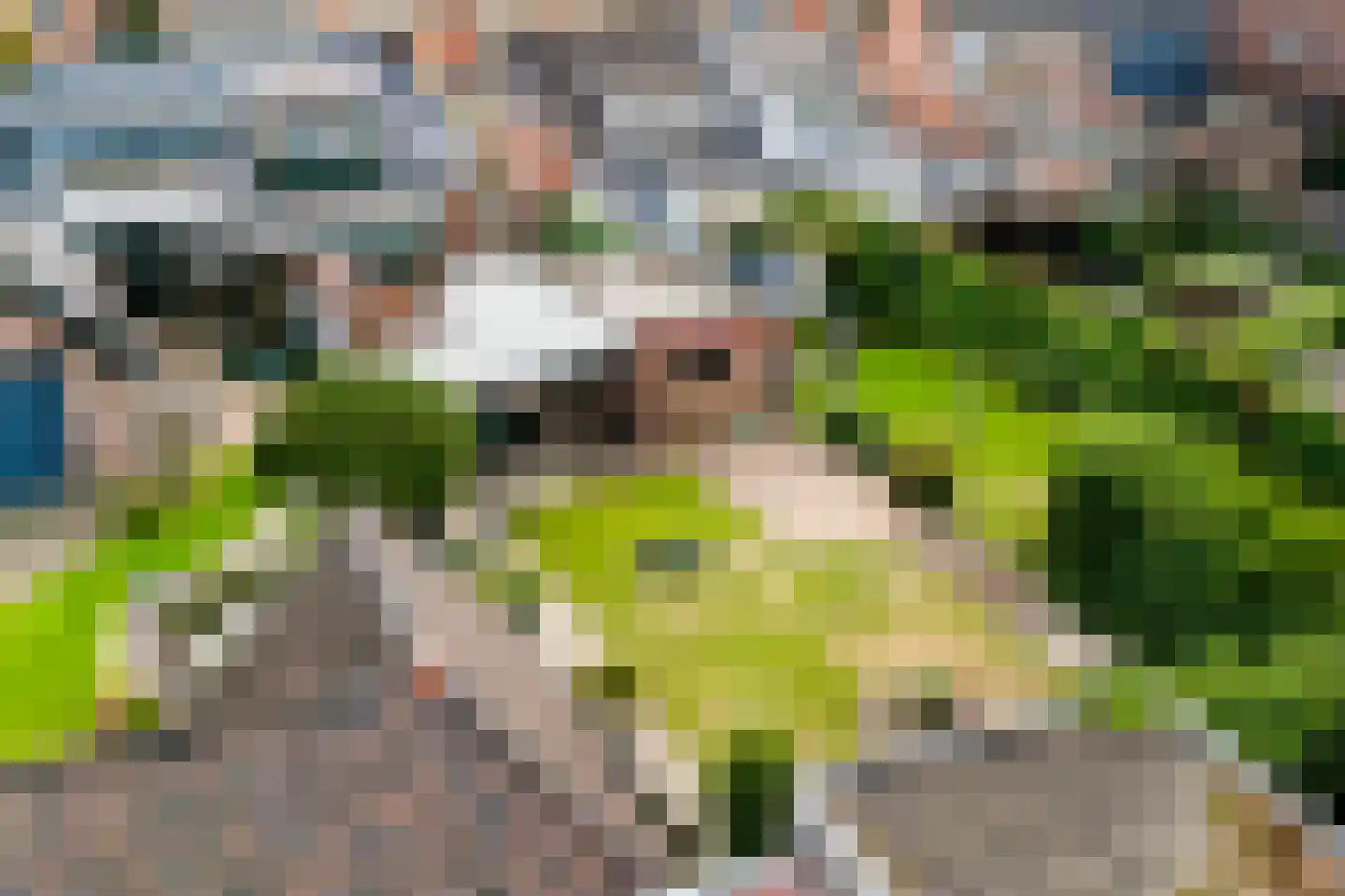 Rozengaardseweg 35 Doetinchem thumbnail 36