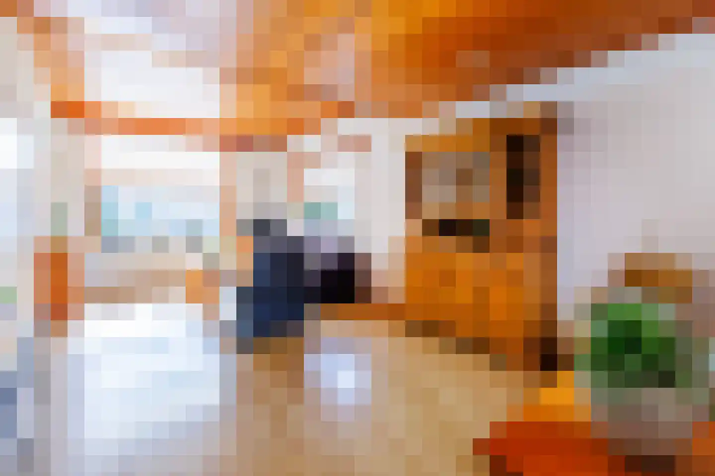 Rozengaardseweg 35 Doetinchem thumbnail 4