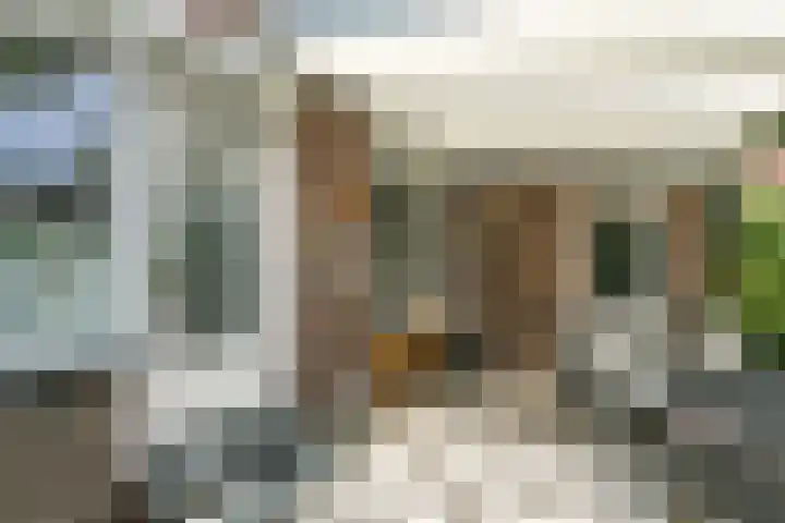 Rozengaardstraat 3 Brunssum thumbnail 20