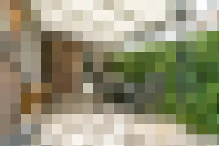 Rozengaardstraat 3 Brunssum thumbnail 21