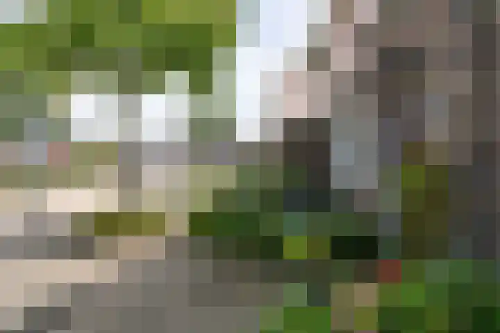 Rozengaardstraat 3 Brunssum thumbnail 22