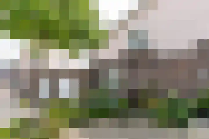 Rozengaardstraat 3 Brunssum thumbnail 23