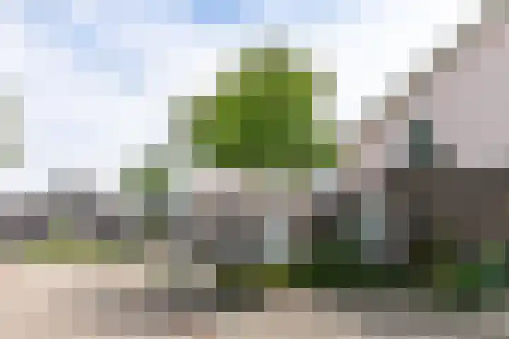 Rozengaardstraat 3 Brunssum thumbnail 24