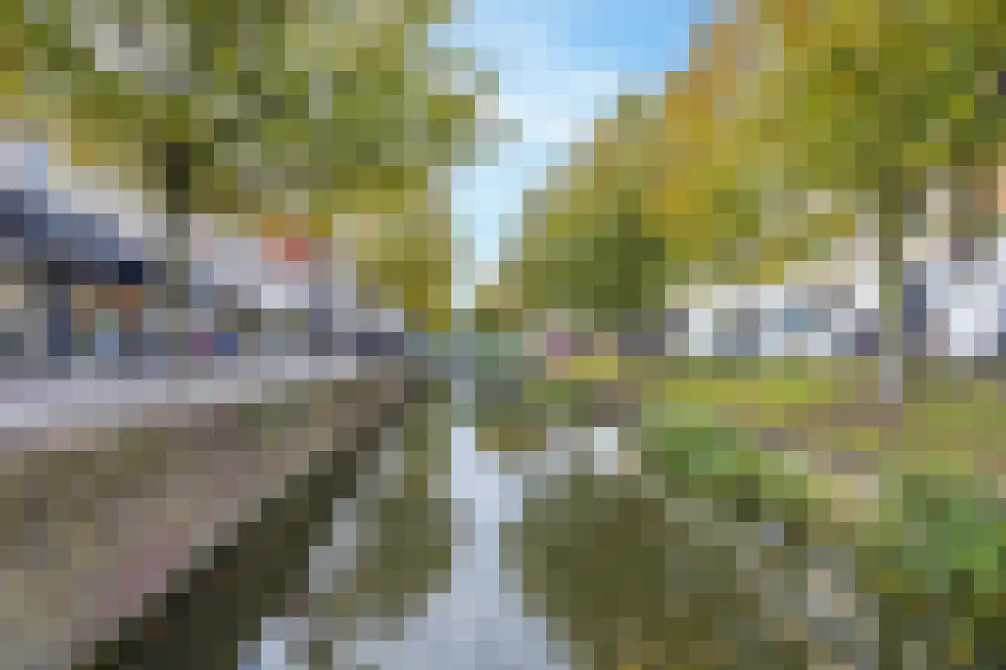 Rozengracht 102 C Zaandam thumbnail 19