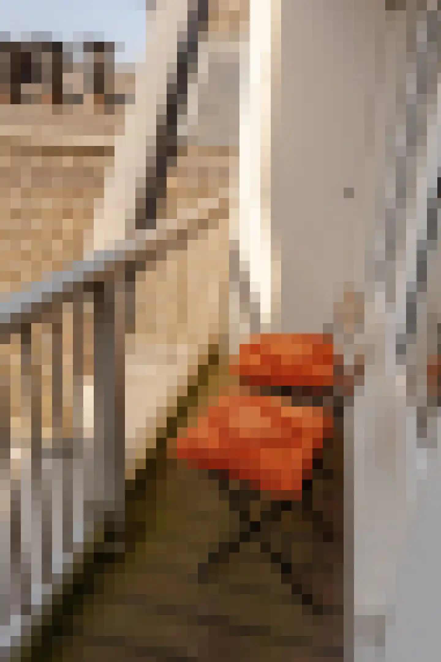 Rozengracht 212 1 Amsterdam thumbnail 13