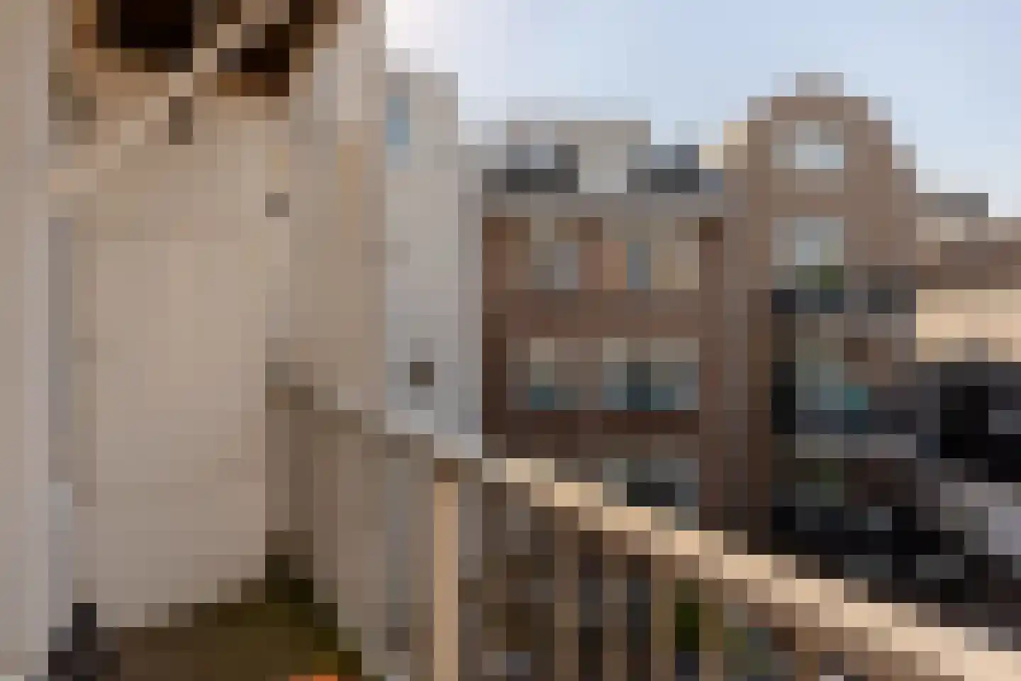 Rozengracht 212 1 Amsterdam thumbnail 14