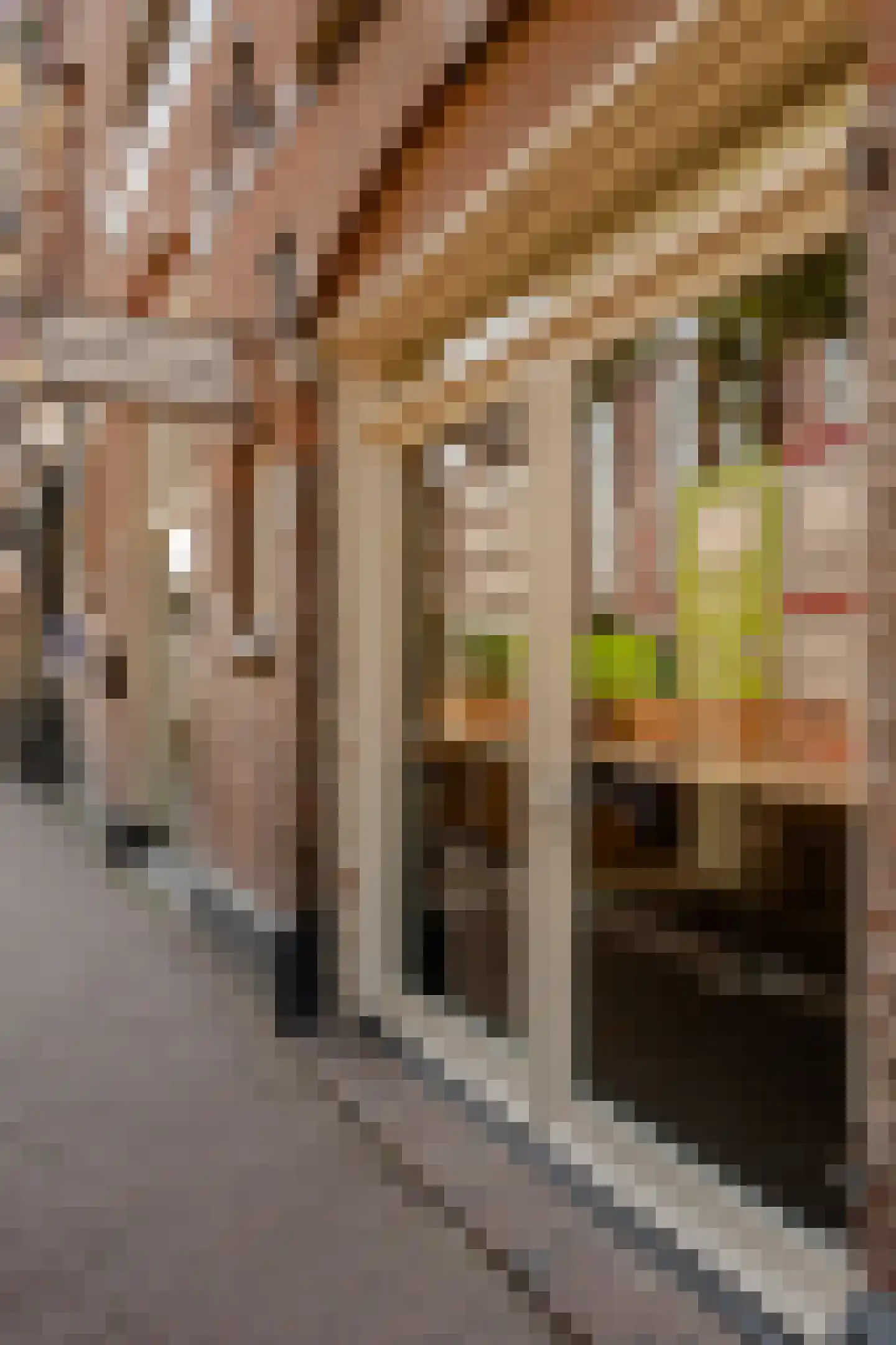 Rozengracht 212 1 Amsterdam thumbnail 19