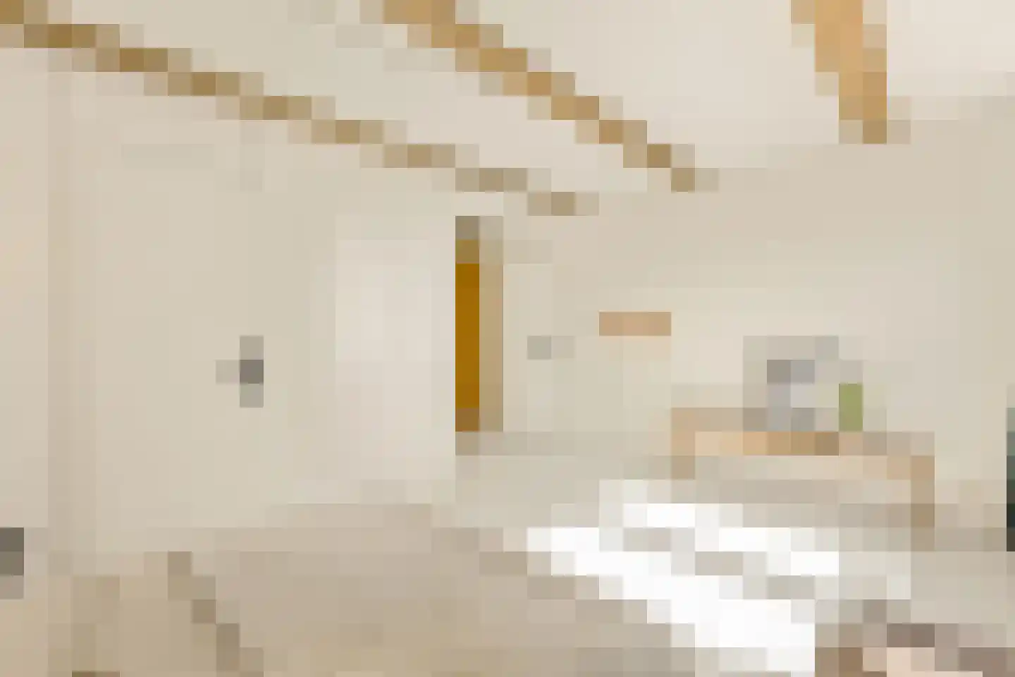 Rozengracht 221 A Amsterdam thumbnail 33
