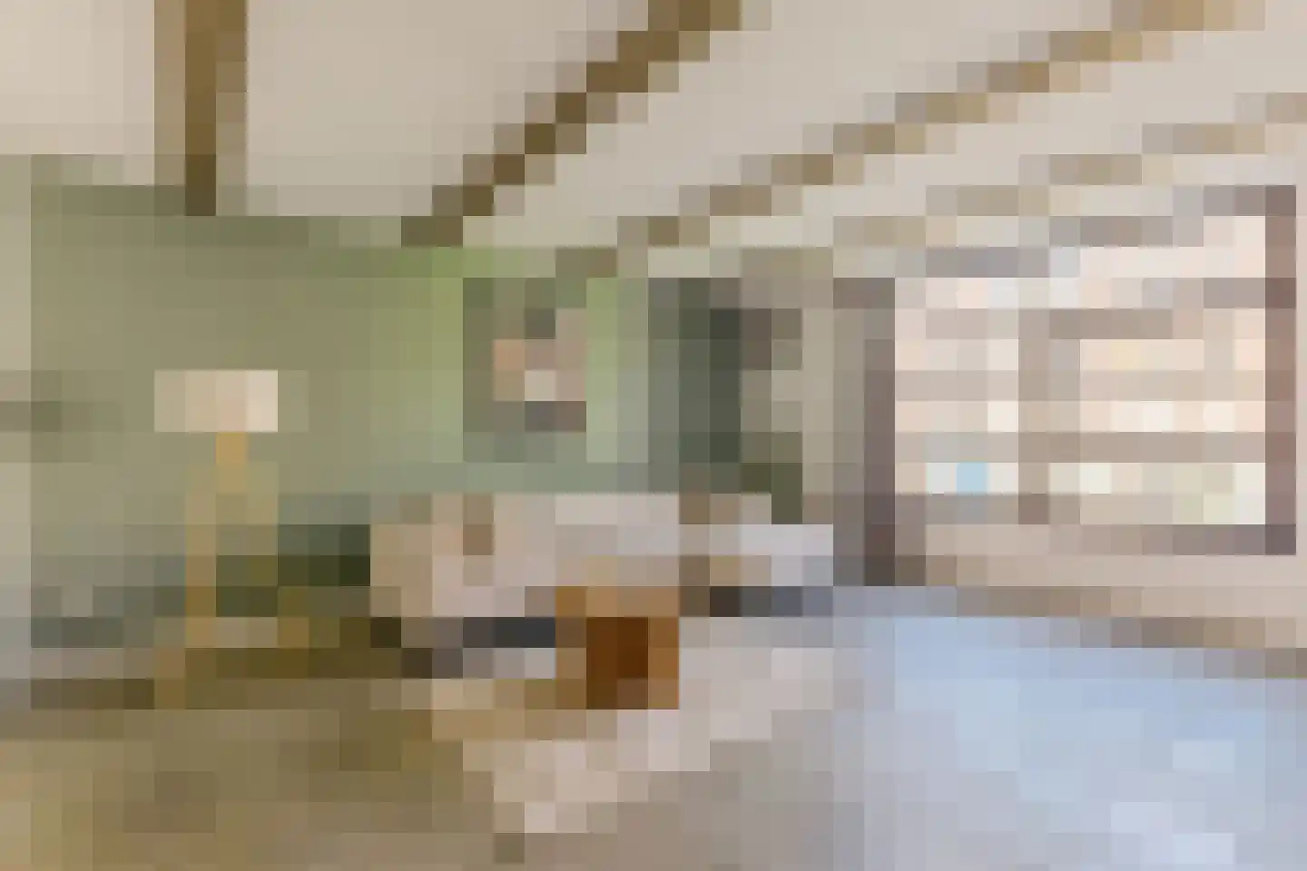 Rozengracht 221 A Amsterdam thumbnail 7