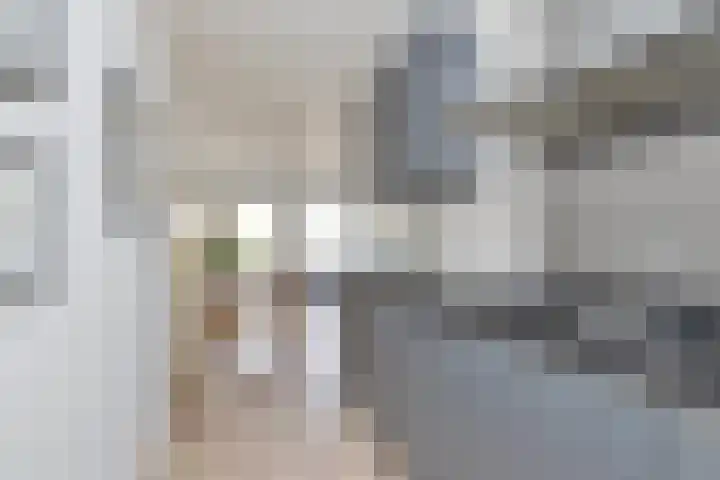Rozengracht 23 D Amsterdam thumbnail 16