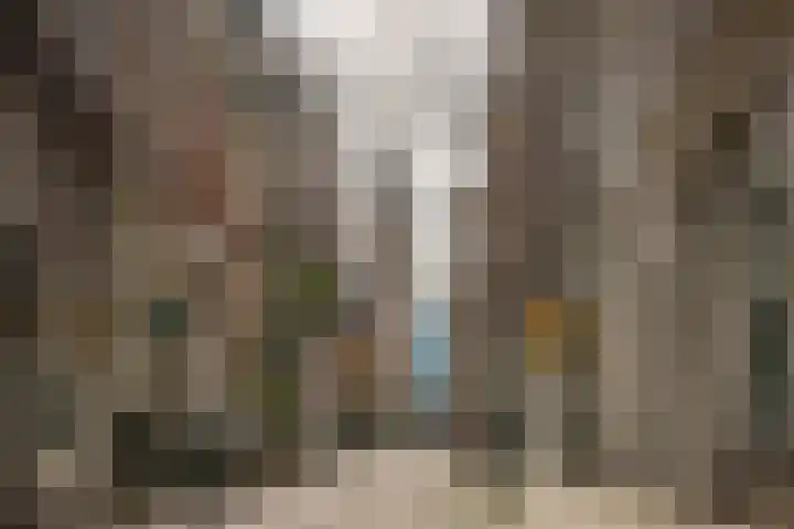 Rozengracht 46 1 Amsterdam thumbnail 35