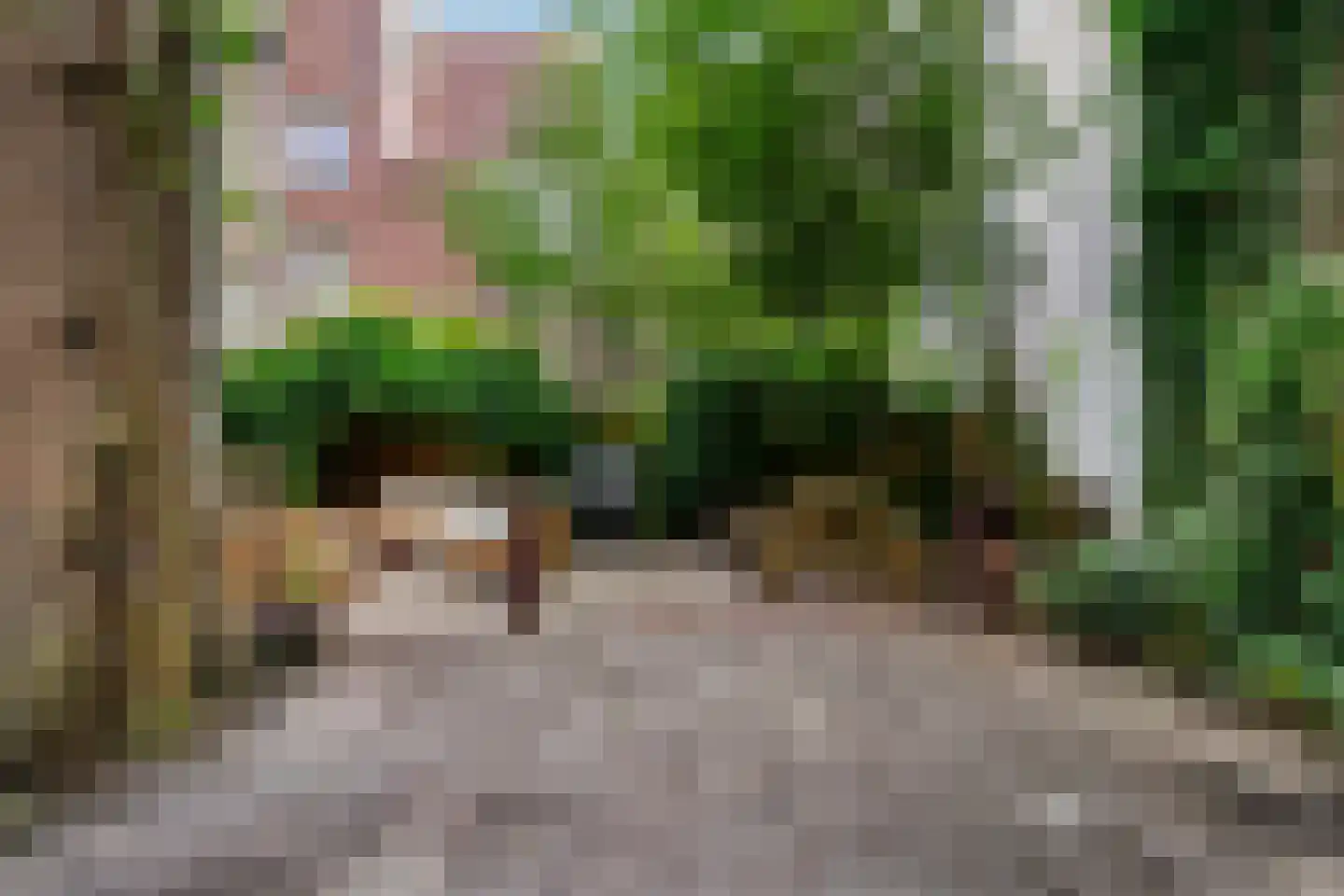 Rozengracht 51 D Amsterdam thumbnail 23