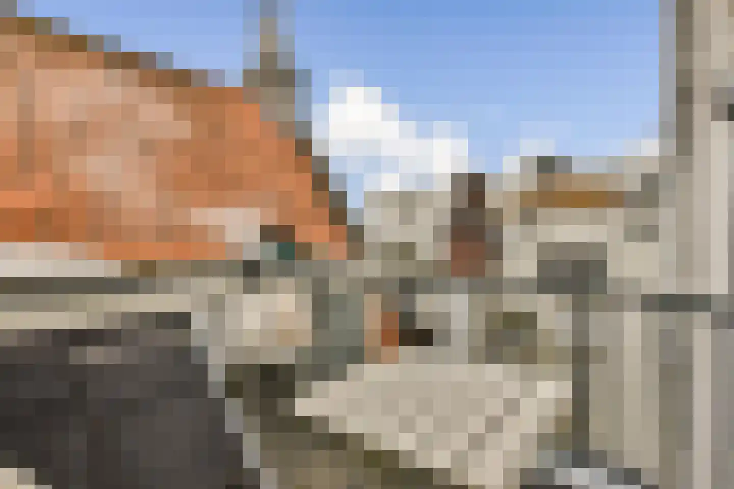Rozengracht 55 2 Amsterdam thumbnail 10