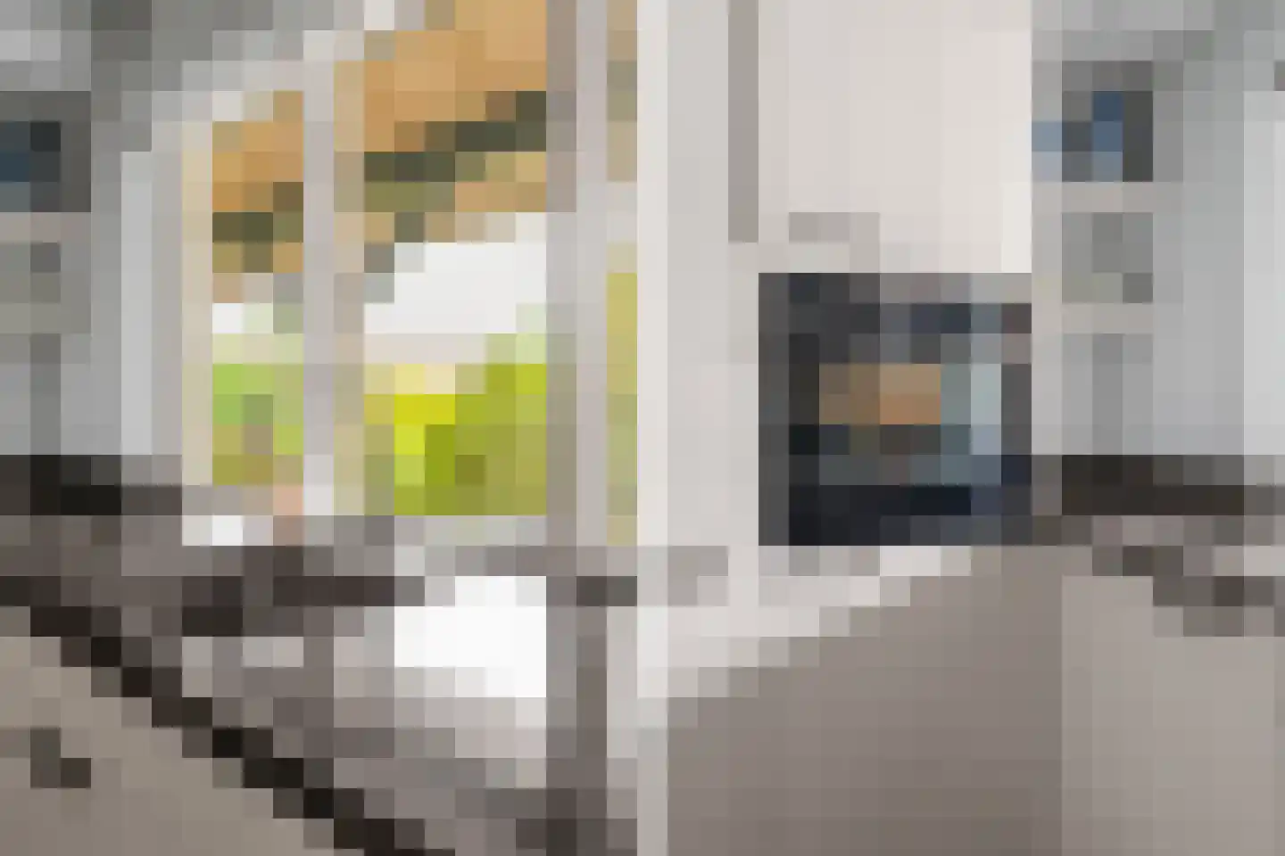 Rozenhaag 33 Leusden thumbnail 15