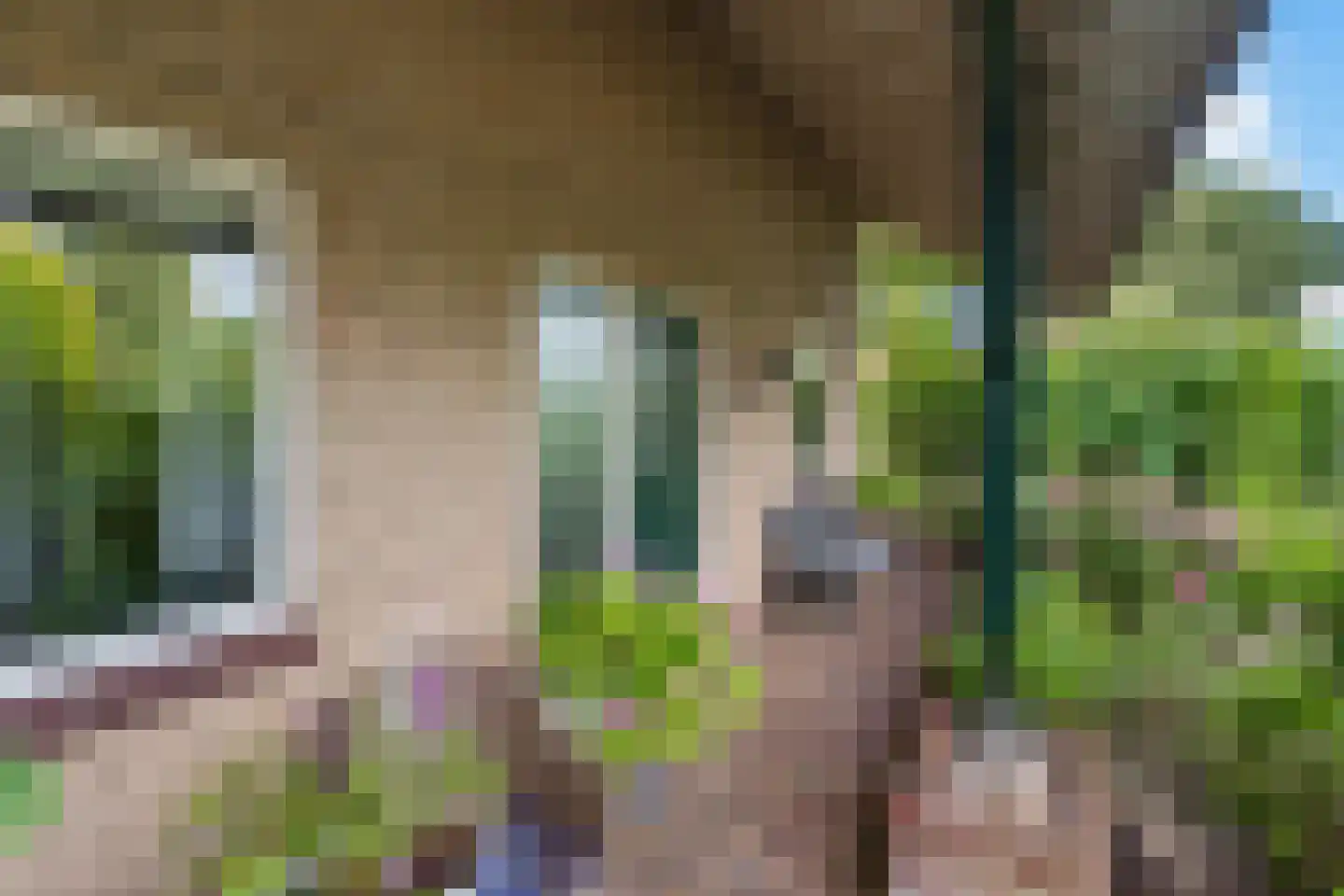 Rozenhaag 33 Leusden thumbnail 5