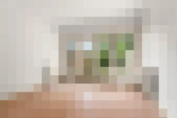 Rozenhagelaan 14 Velp thumbnail 12