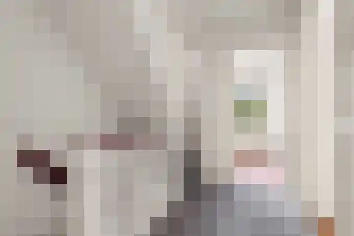 Rozenhagelaan 14 Velp thumbnail 16