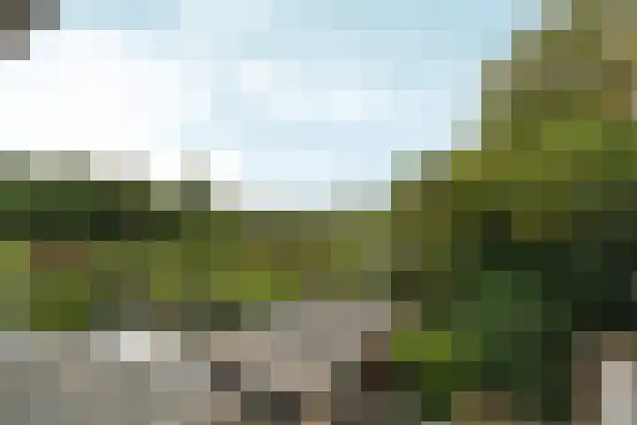 Rozenhagelaan 14 Velp thumbnail 21