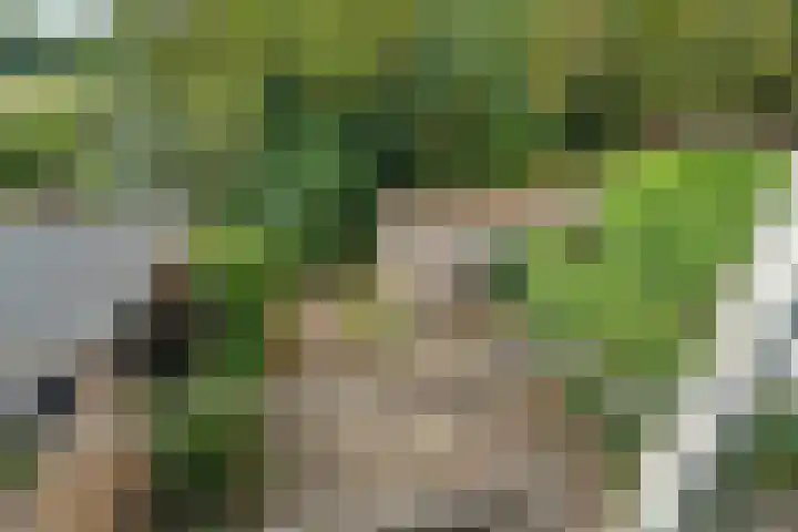 Rozenhagelaan 14 Velp thumbnail 22