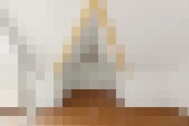 Rozenhagelaan 14 Velp thumbnail 36